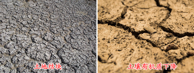 土地結(jié)塊有機物下降