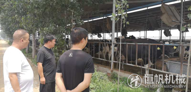 鄭州恒帆機(jī)械為溫縣客戶實(shí)地規(guī)劃年產(chǎn)三萬噸牛糞有機(jī)肥生產(chǎn)線項(xiàng)目(圖1) 鐘經(jīng)理在客戶的帶領(lǐng)下參觀牛養(yǎng)殖場(chǎng)